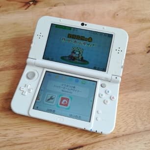 【売約済】さっきゅん