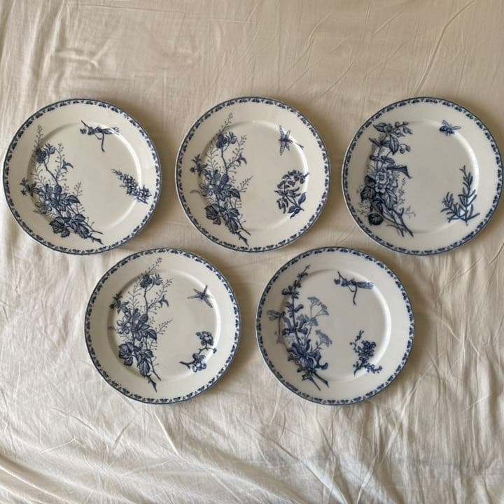 Sarreguemines サルグミンヌ カルメン 平皿 5枚セット