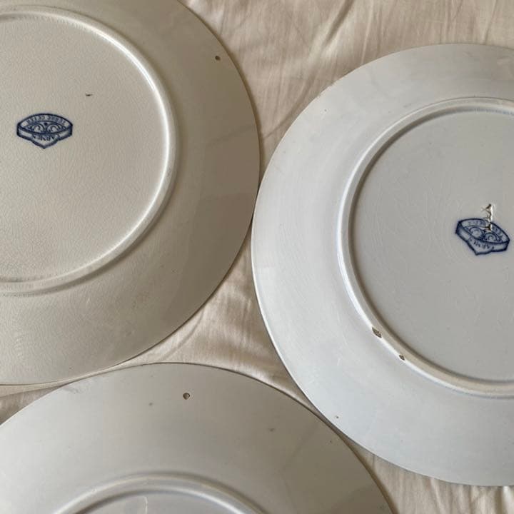 Sarreguemines サルグミンヌ カルメン 平皿 5枚セット