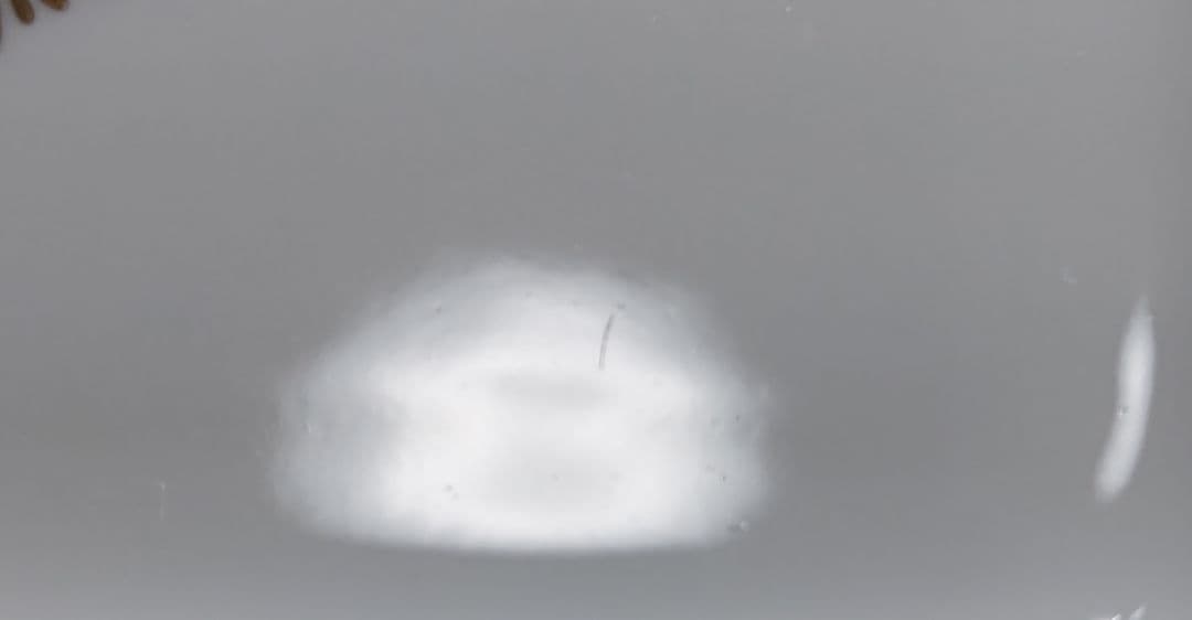 未使用 レア ウェッジウッド バーリントン BBプレート