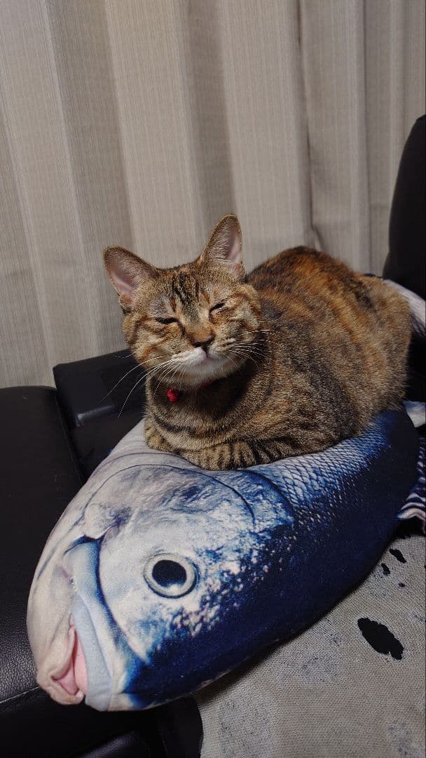 ☆mic ホットウィールまとめて☆