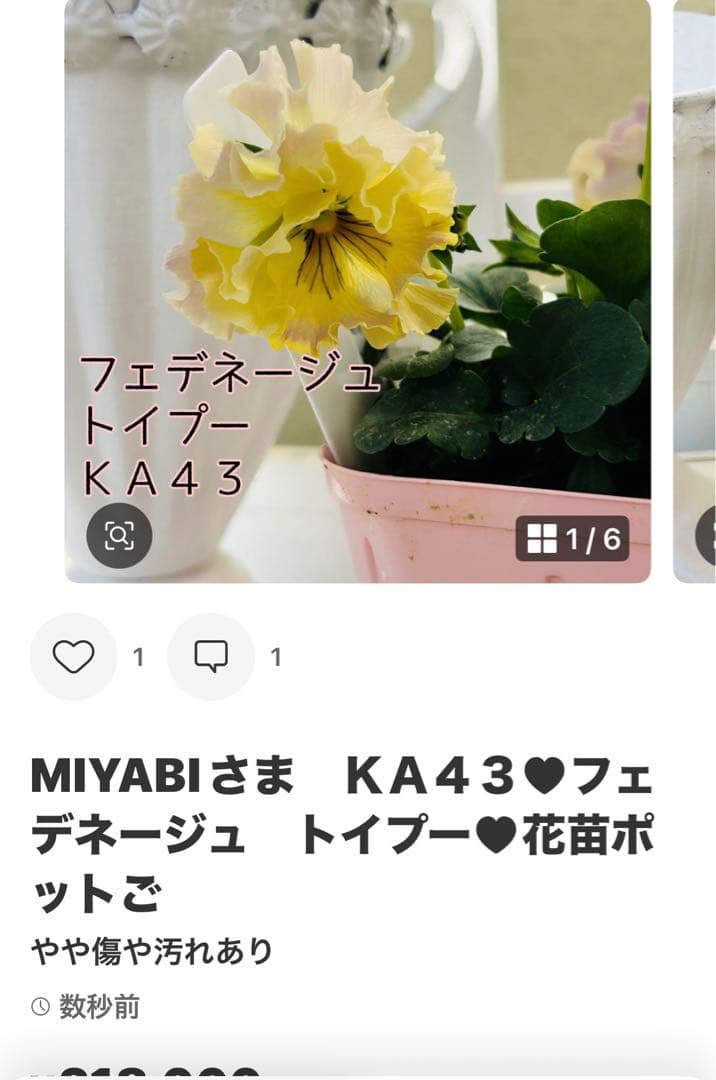 ◆◆MIYABIさま　Ｋ３９♥アンティークフリルパンジー　フルール　合計6ポット