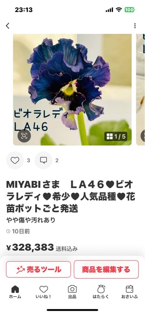 ◆◆MIYABIさま　Ｋ３９♥アンティークフリルパンジー　フルール　合計6ポット