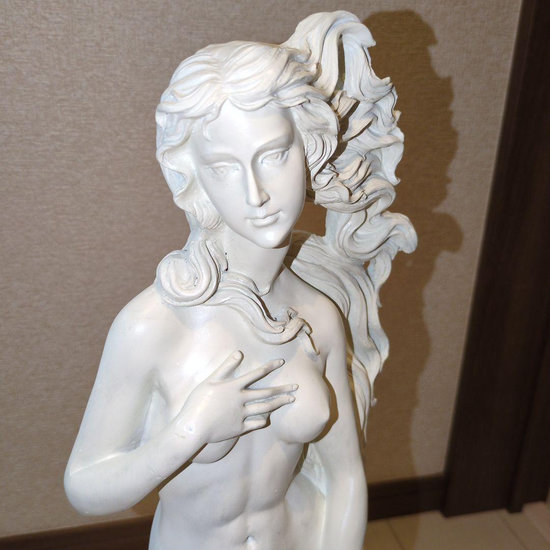 TOSCANO ヴィーナスの誕生　未使用　美品　彫像　置物　美術品　マニア