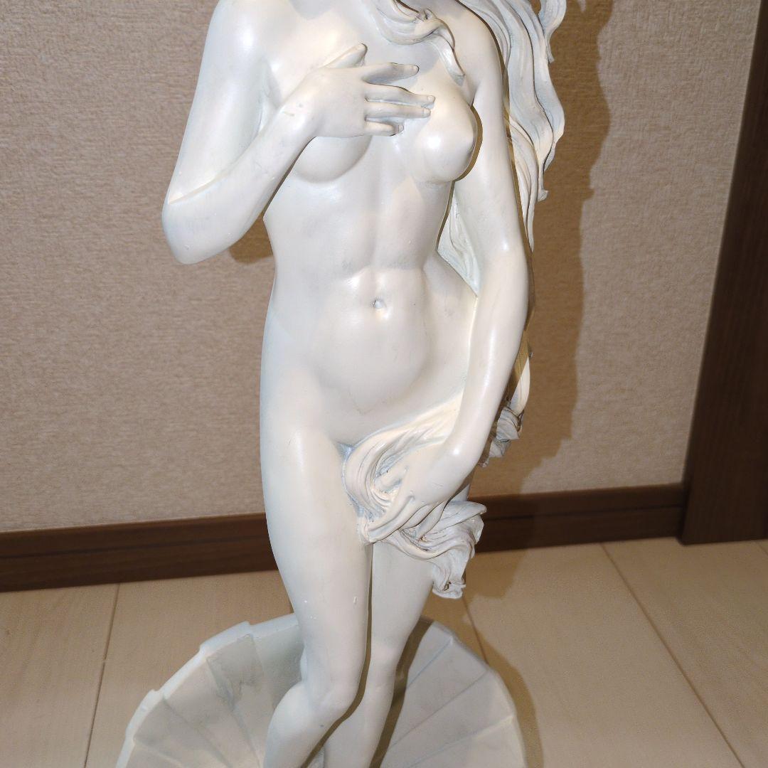 TOSCANO ヴィーナスの誕生　未使用　美品　彫像　置物　美術品　マニア