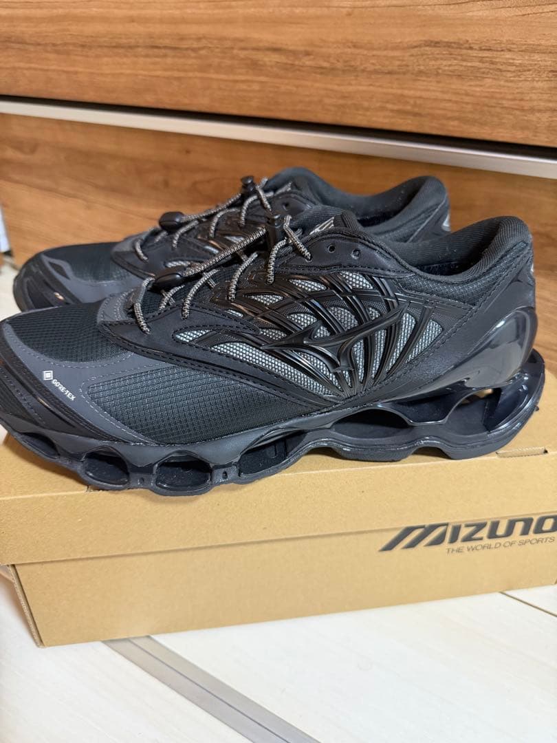 MIZUNO　WAVE PROPHECY LS GTX 28cm