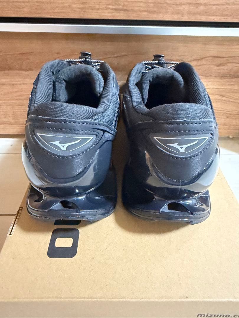 MIZUNO　WAVE PROPHECY LS GTX 28cm