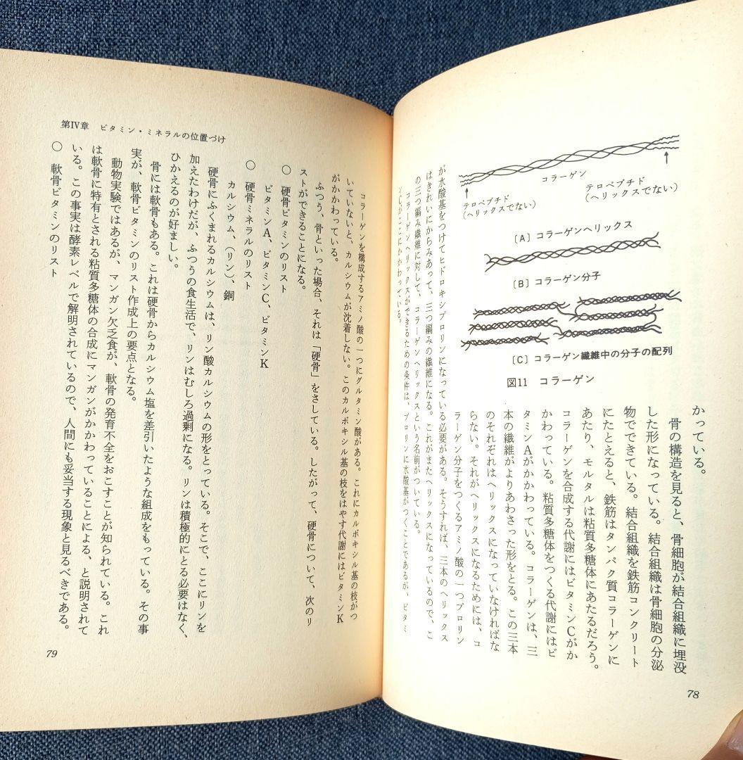 三石巌全業績 （3） 分子栄養学序説