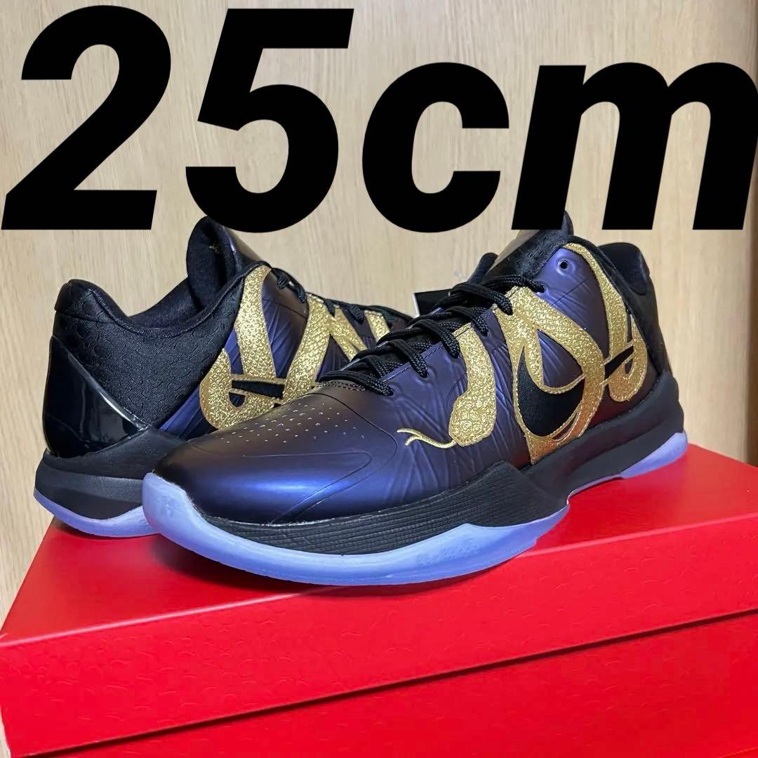 Nike Kobe 5 Protro \