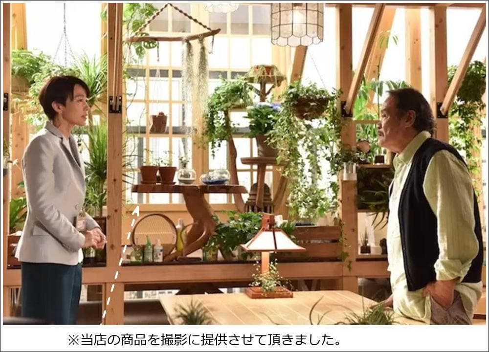 在庫処分 １点もの 木製 テーブル チーク材 天然木 一枚板 切り株 根 B-5