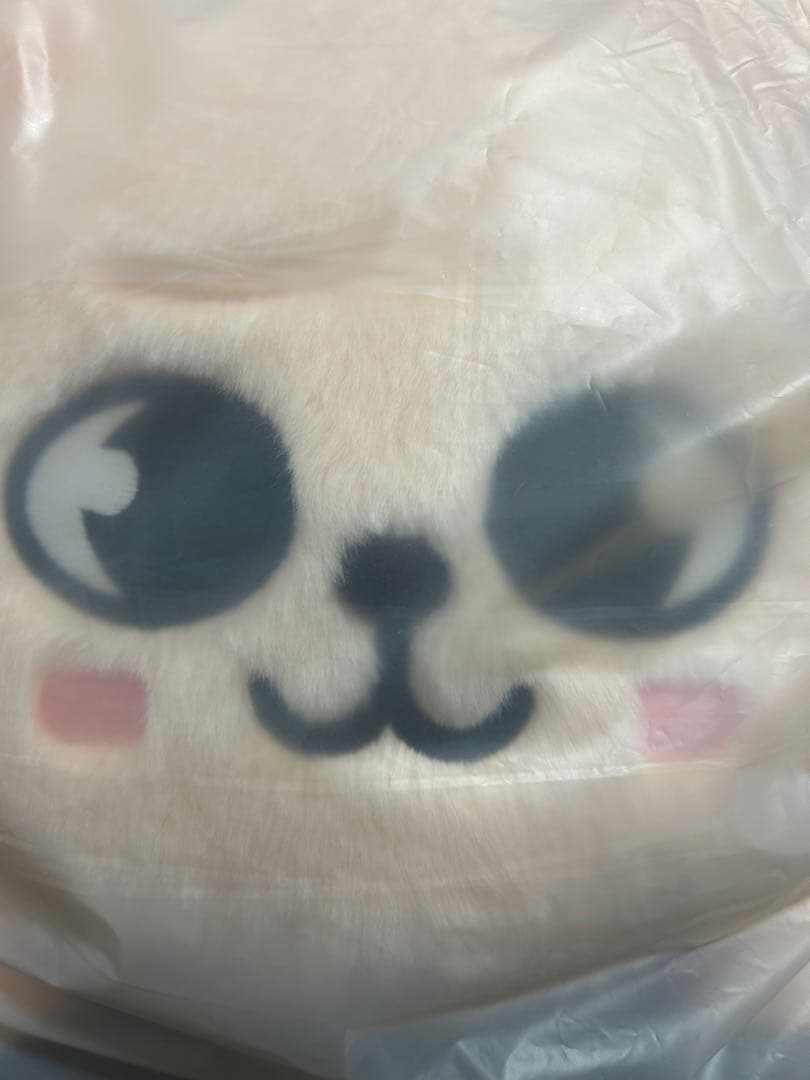 StrayKids スンミン メンプロ パピーム