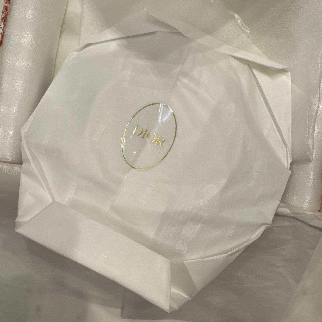 DIOR サイドプレート　2枚セット