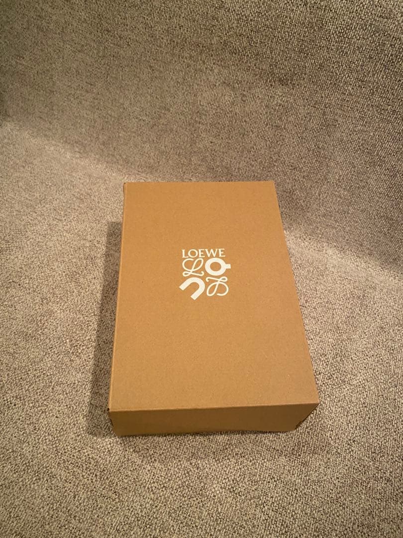 LOEWE ×On★クラウドベンチャー 2.0★シューズ