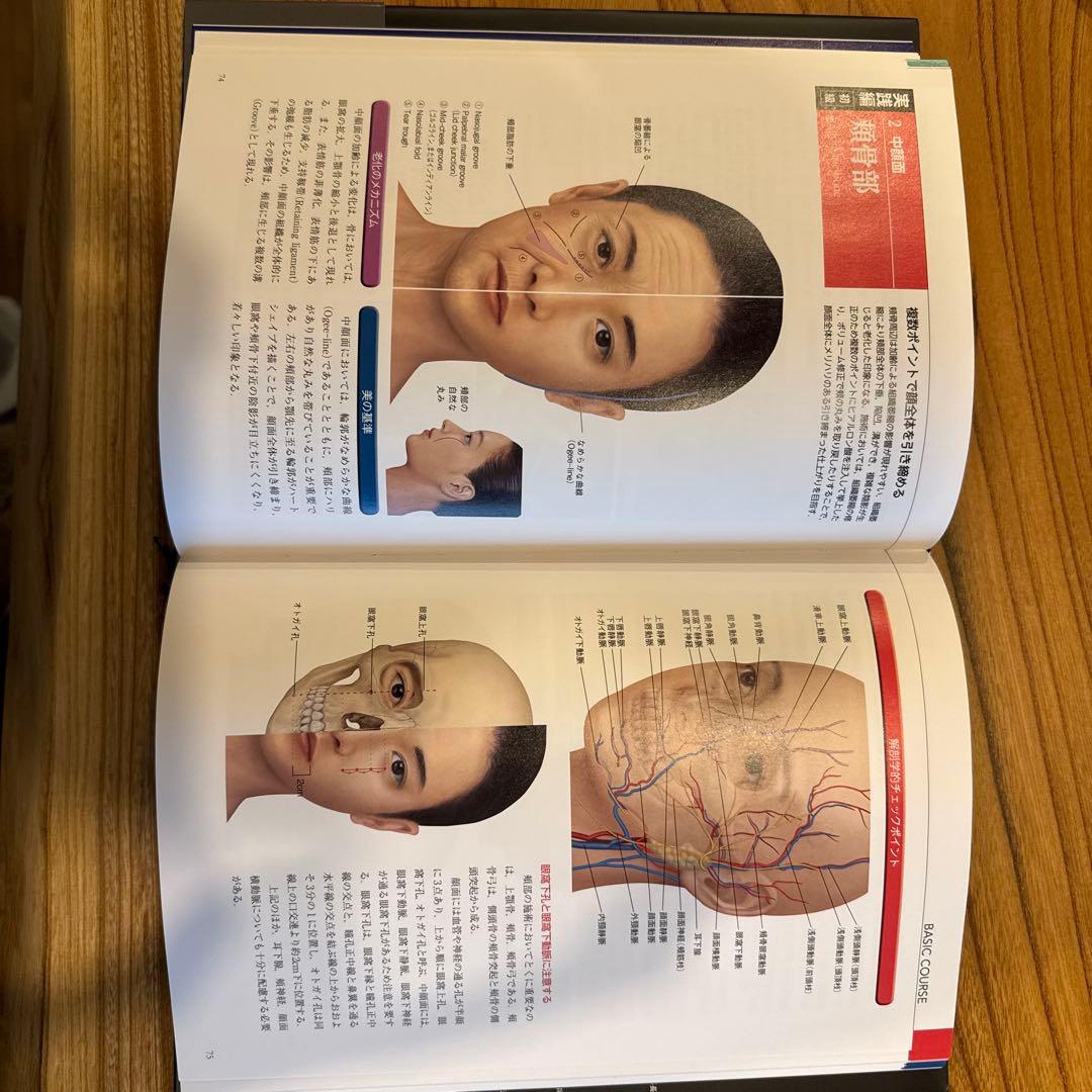 解剖から学ぶヒアルロン酸注入療法