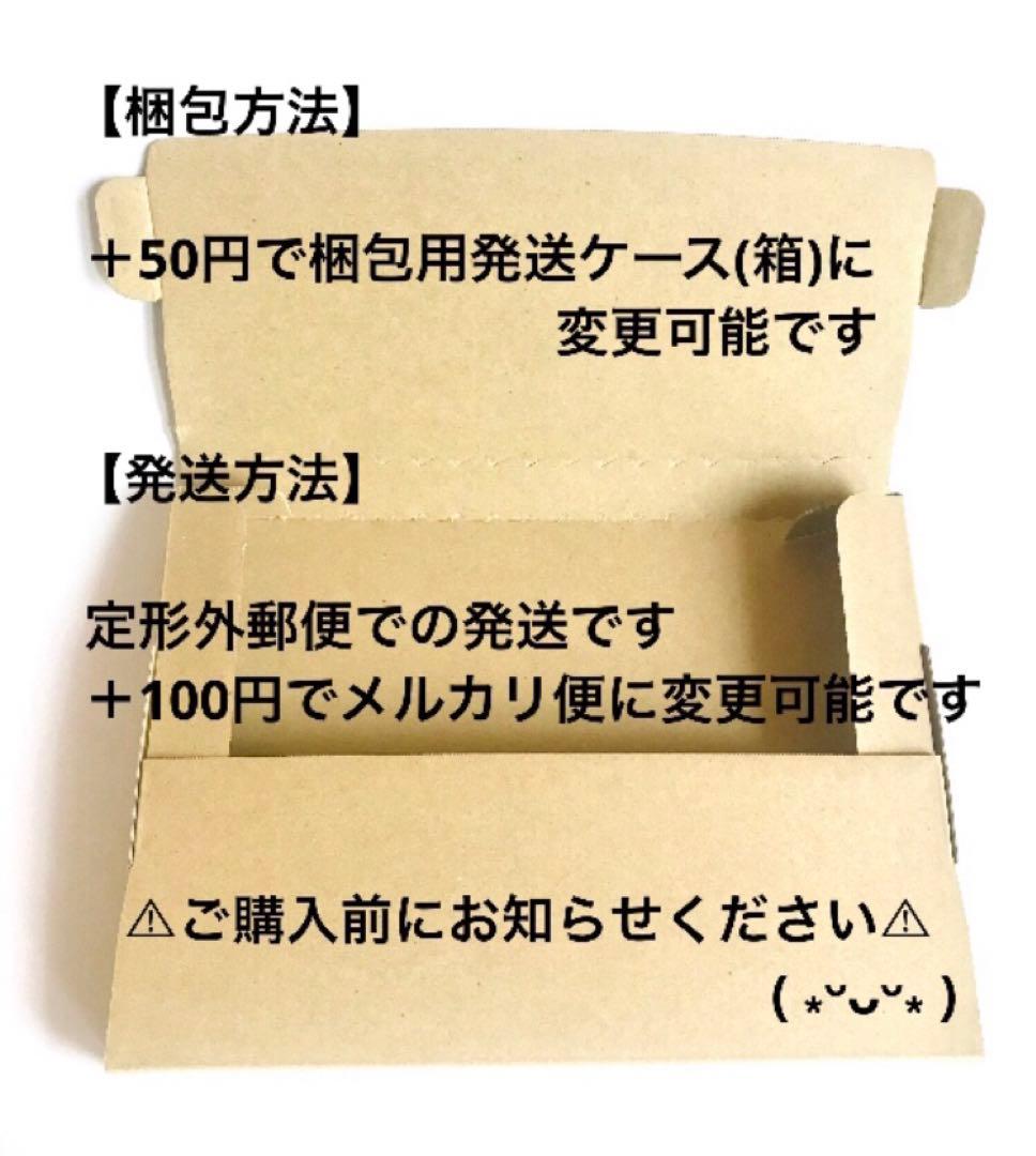 ♥︎選べる♥︎じゃれねこちゃん・ぐでねこちゃんチャーム　枝豆＆ビール