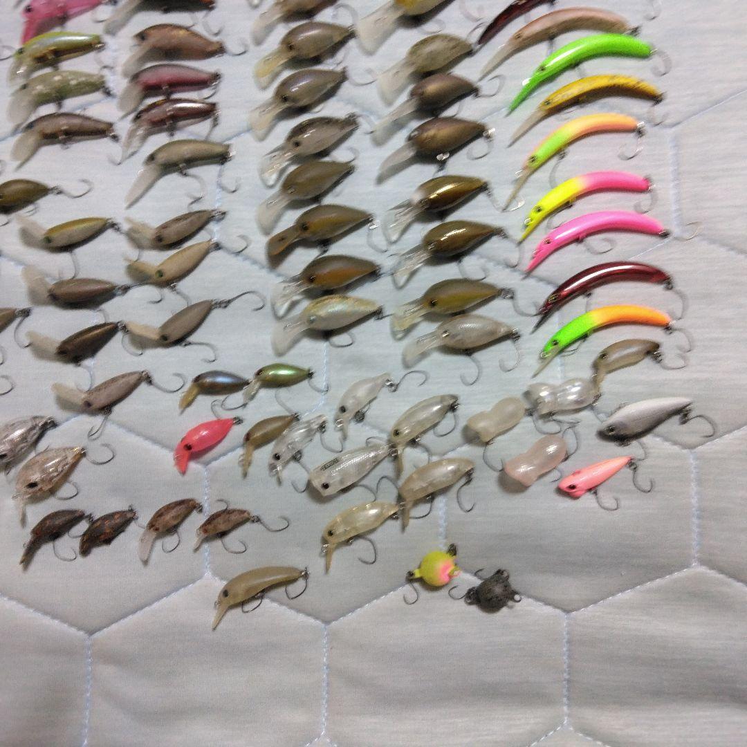 エリアトラウト引退　オリカラ大量　ロデオ、ディスプラウト、ティモン等