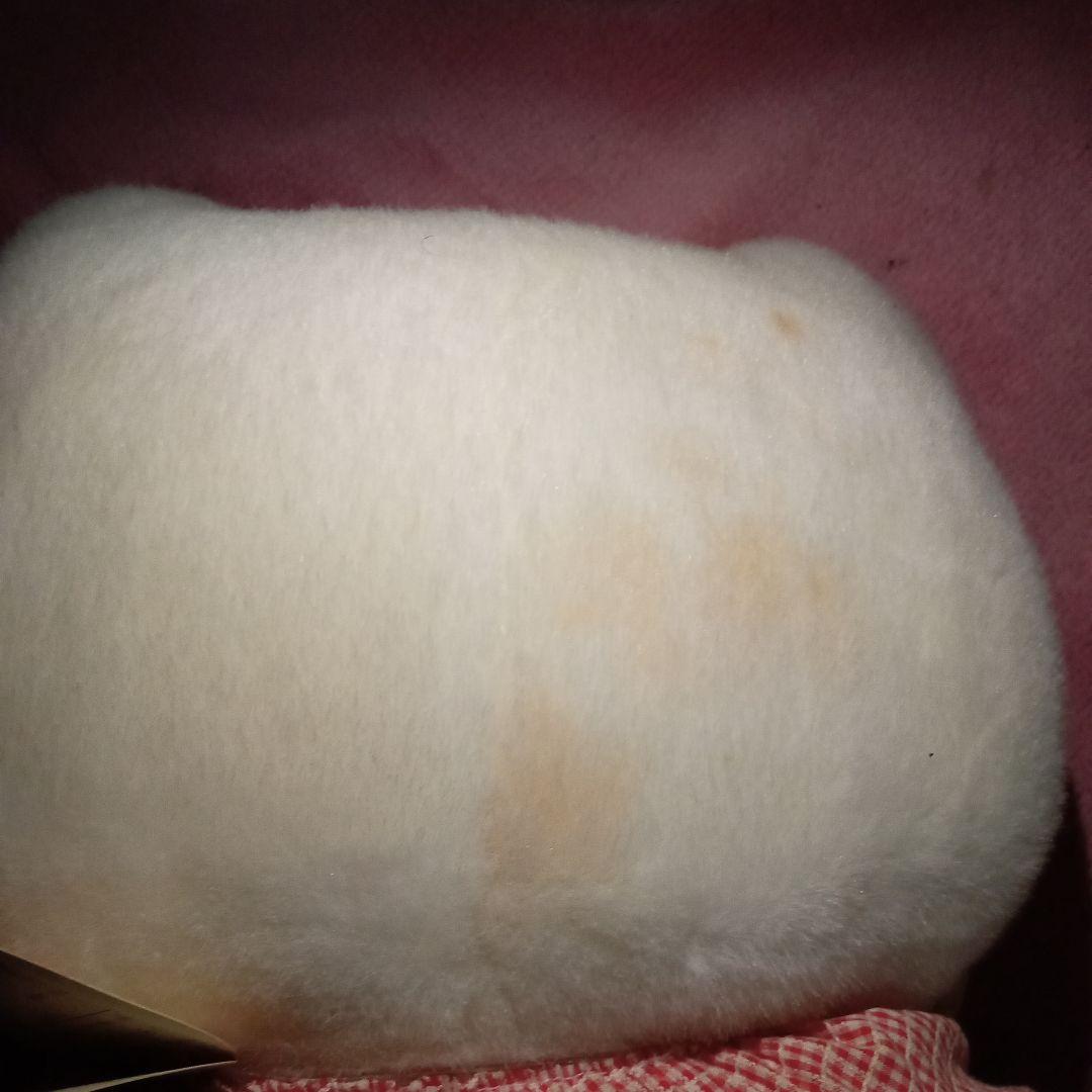 TAO ハローキティ　ペンブローク　ウェルシュ　コーギーLL　2002年製