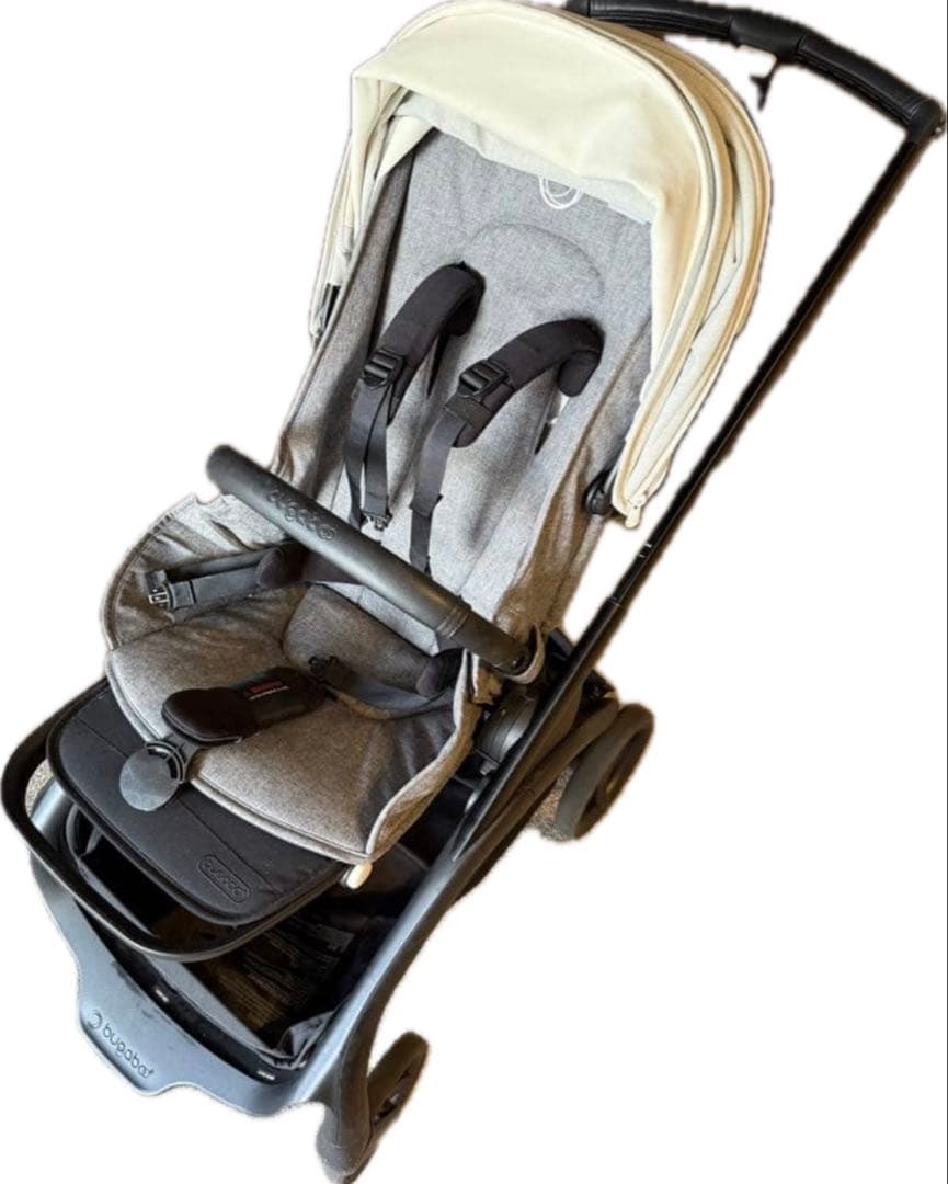 バガブードラゴンフライ　bugaboo