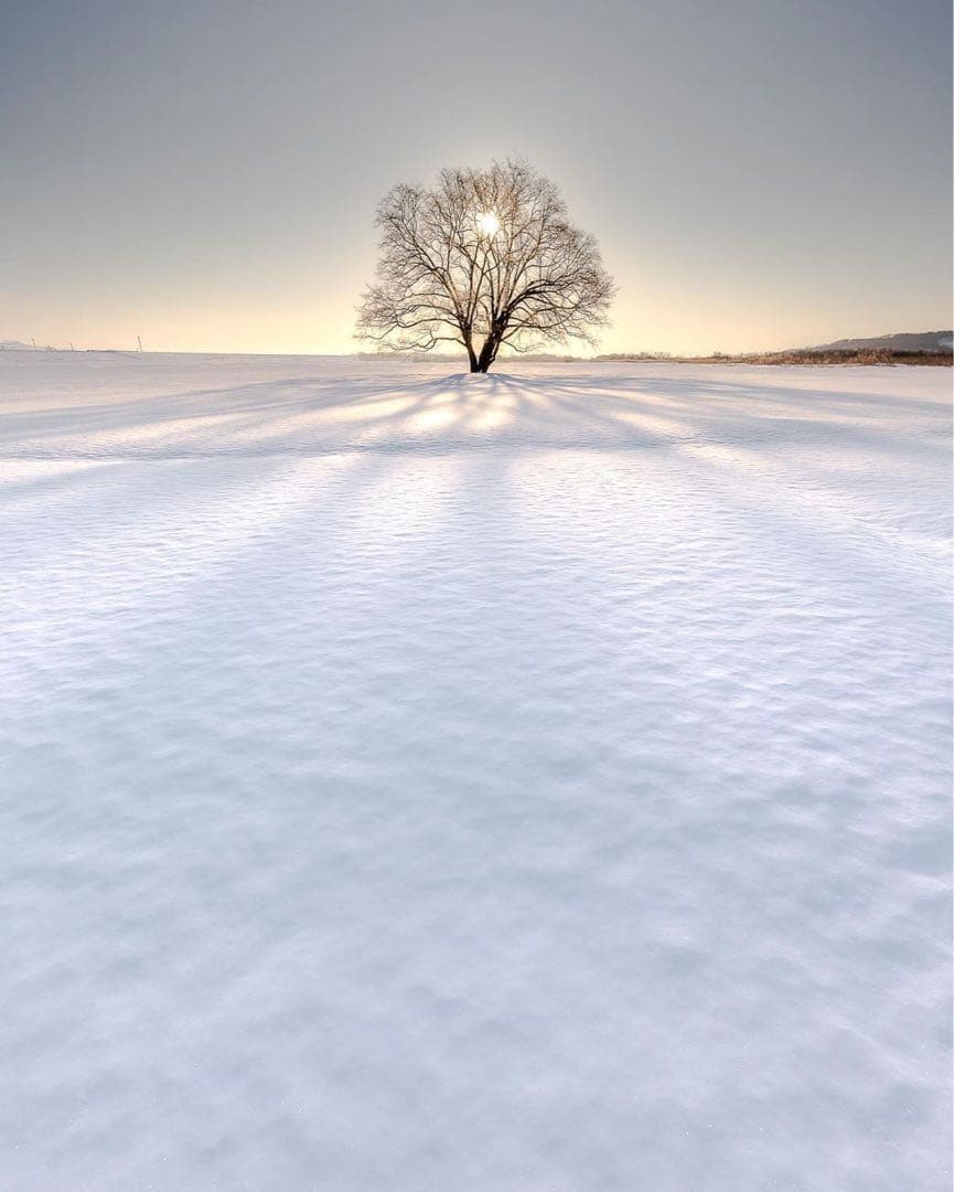 専用Whim Gazette DENIM ALL IN ONE２ ラスト1 点