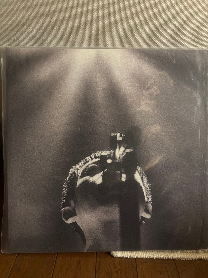 【即購入可】踊ってばかりの国　光の中に　アナログレコード　LP