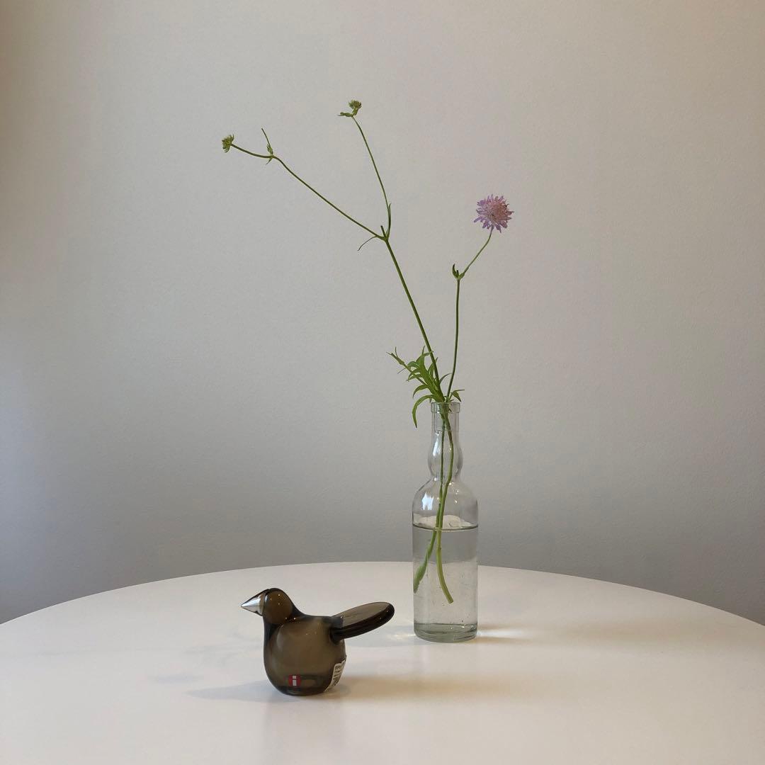 イッタラバード　シエッポ　スコープ