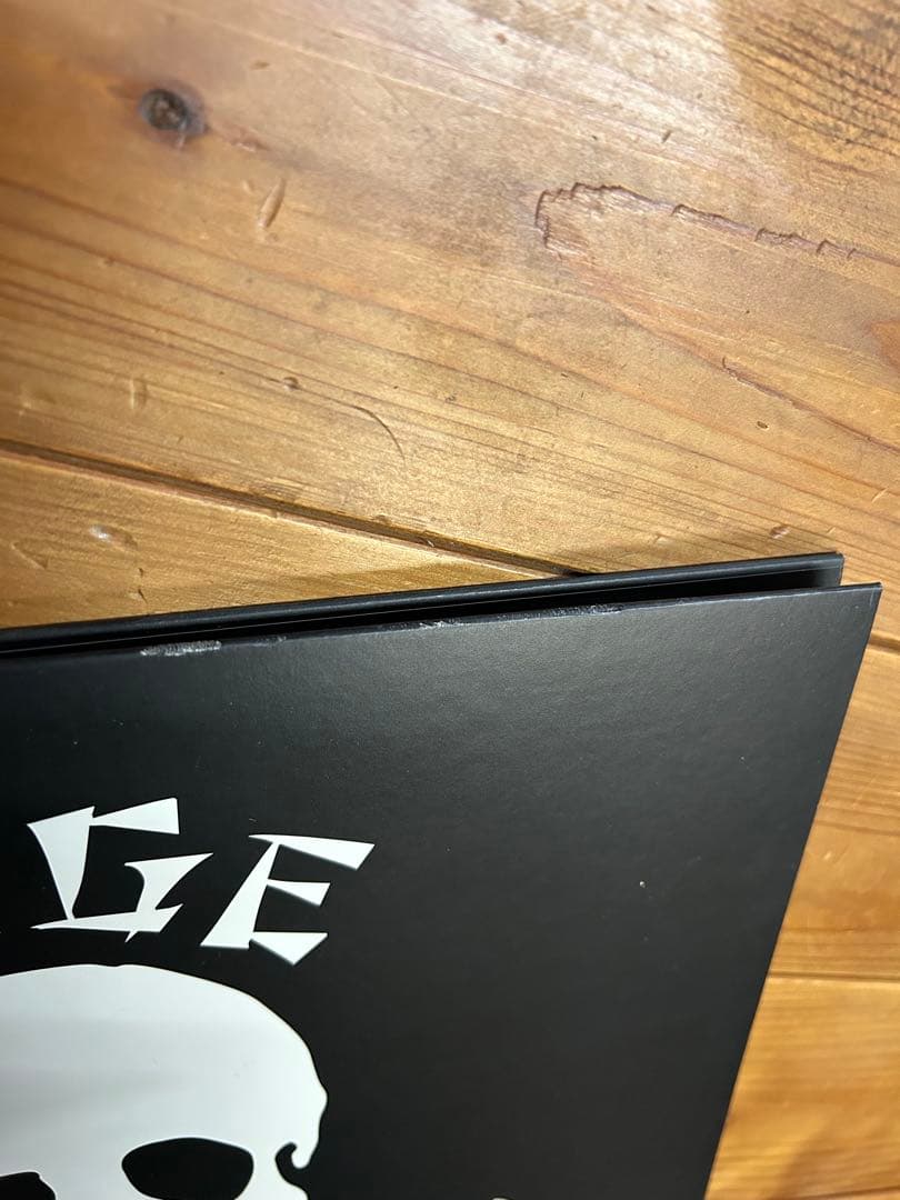 ミッシェルガンエレファント　106 レコード2枚組