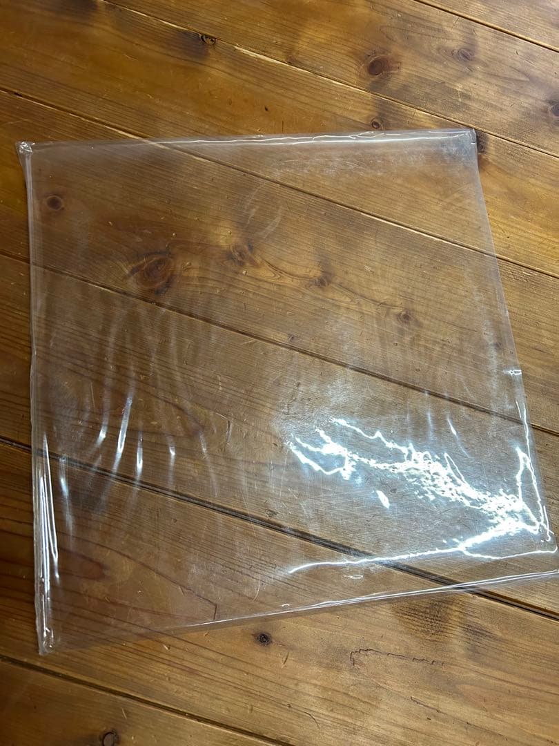 ミッシェルガンエレファント　106 レコード2枚組