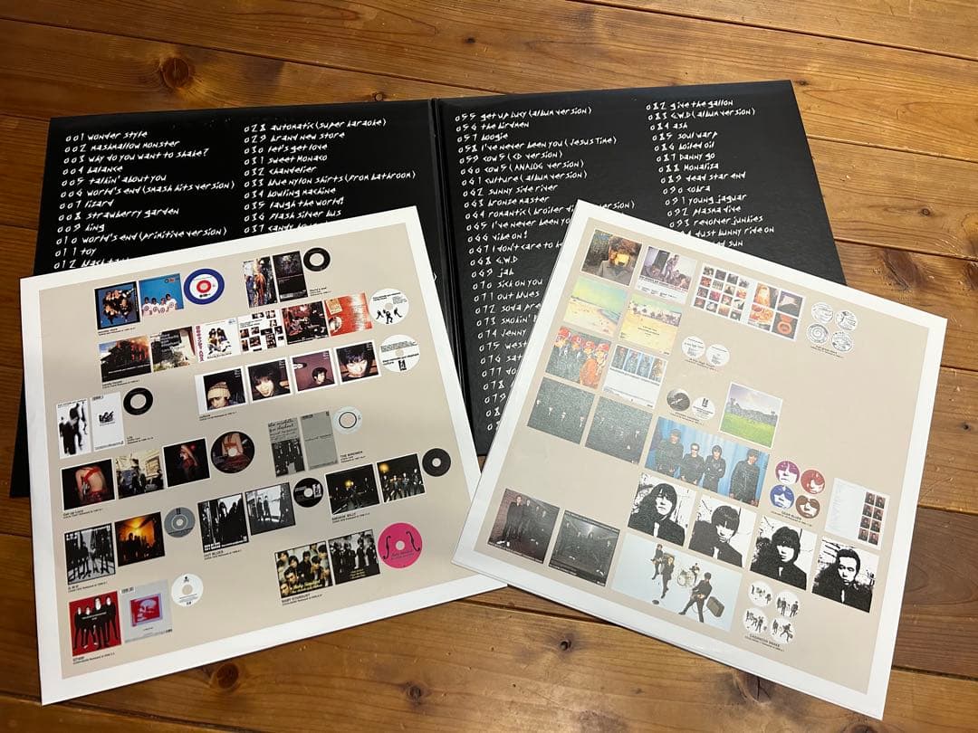 ミッシェルガンエレファント　106 レコード2枚組