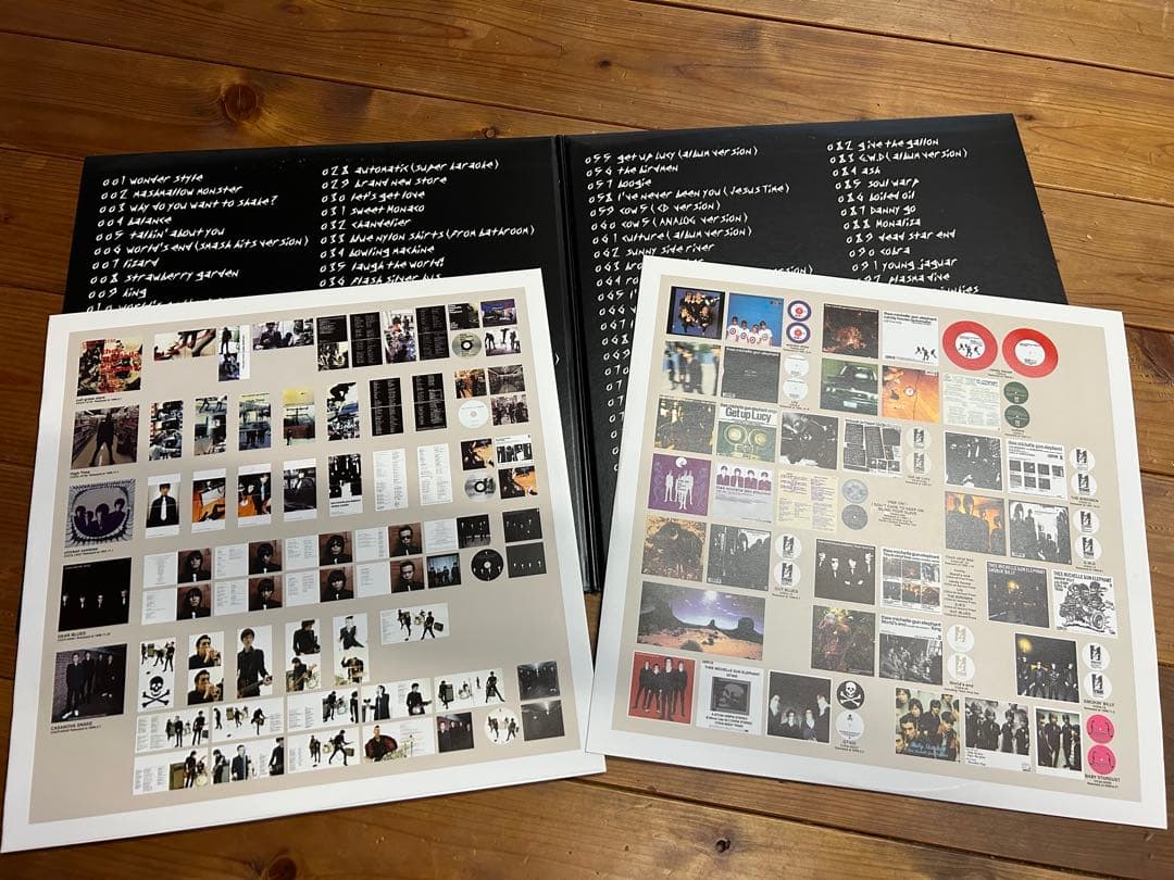 ミッシェルガンエレファント　106 レコード2枚組