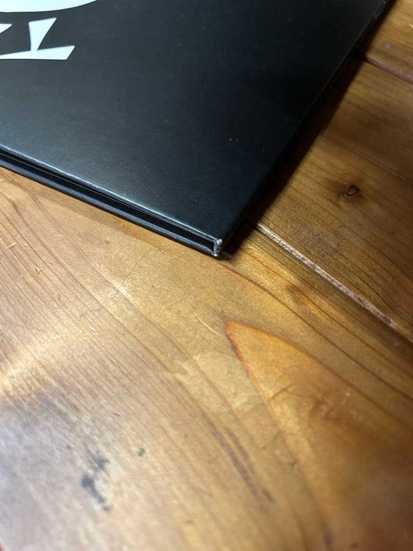 ミッシェルガンエレファント　106 レコード2枚組