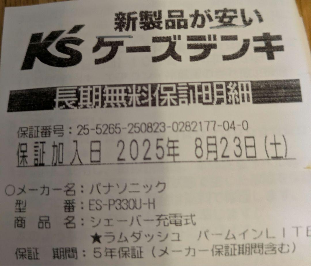 LAM DASH PALM IN LITE 本体 未使用新品保証付