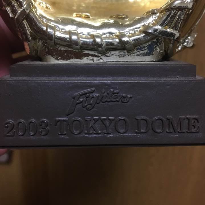 ゴールデングラブ TOKYO DOME 2003