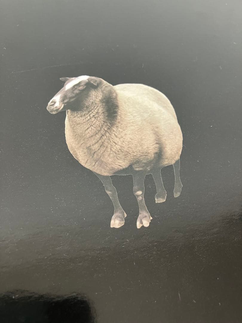 ヒツジのいらない枕　極柔　ブラックレーベル　箱　枕カバー付き