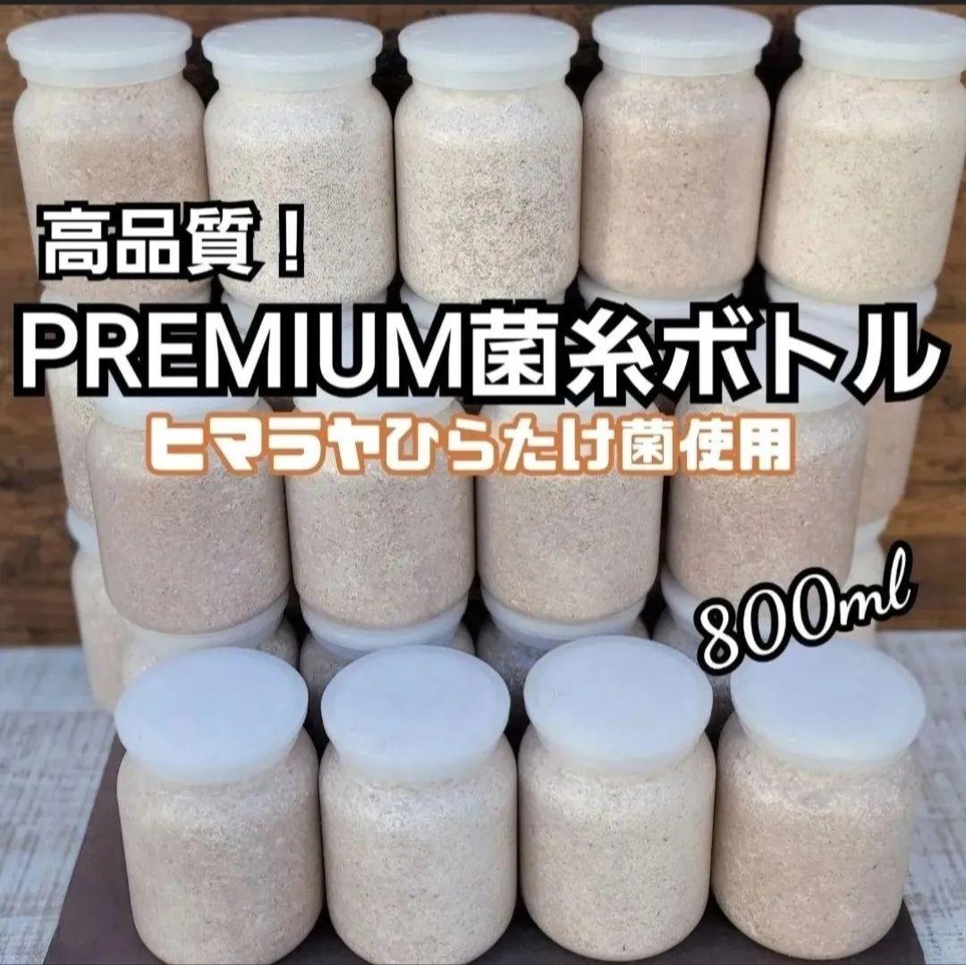 極上！ヒマラヤひらたけ菌糸瓶【１０本セット】トレハロース、キトサン強化配合！