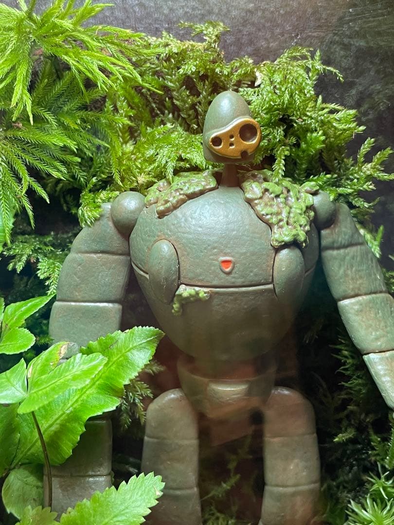 苔テラリウム　⑥