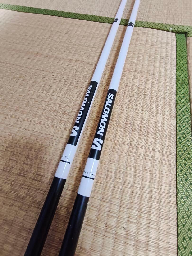 Salomon X Kart スキー 164cm ホワイト ポール 付き