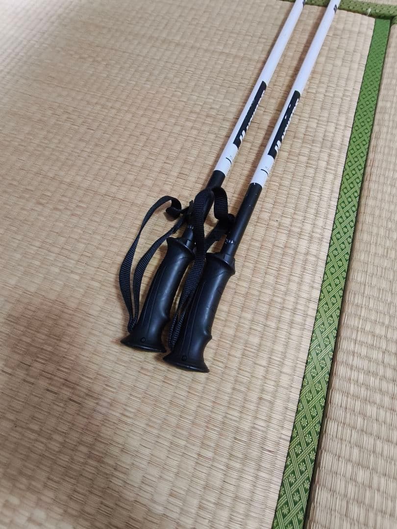 Salomon X Kart スキー 164cm ホワイト ポール 付き