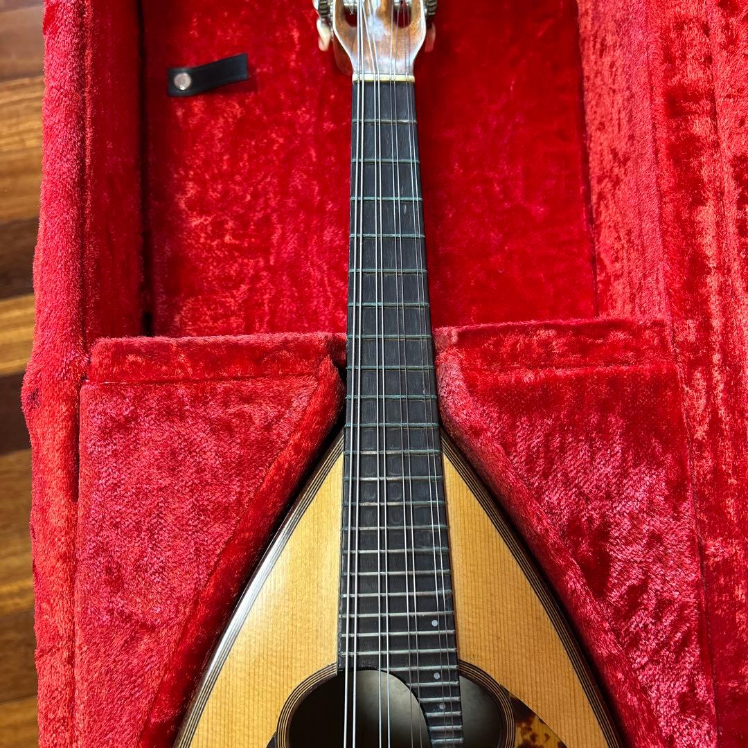 マンドリン 落合忠男1979年　ハードケース付き