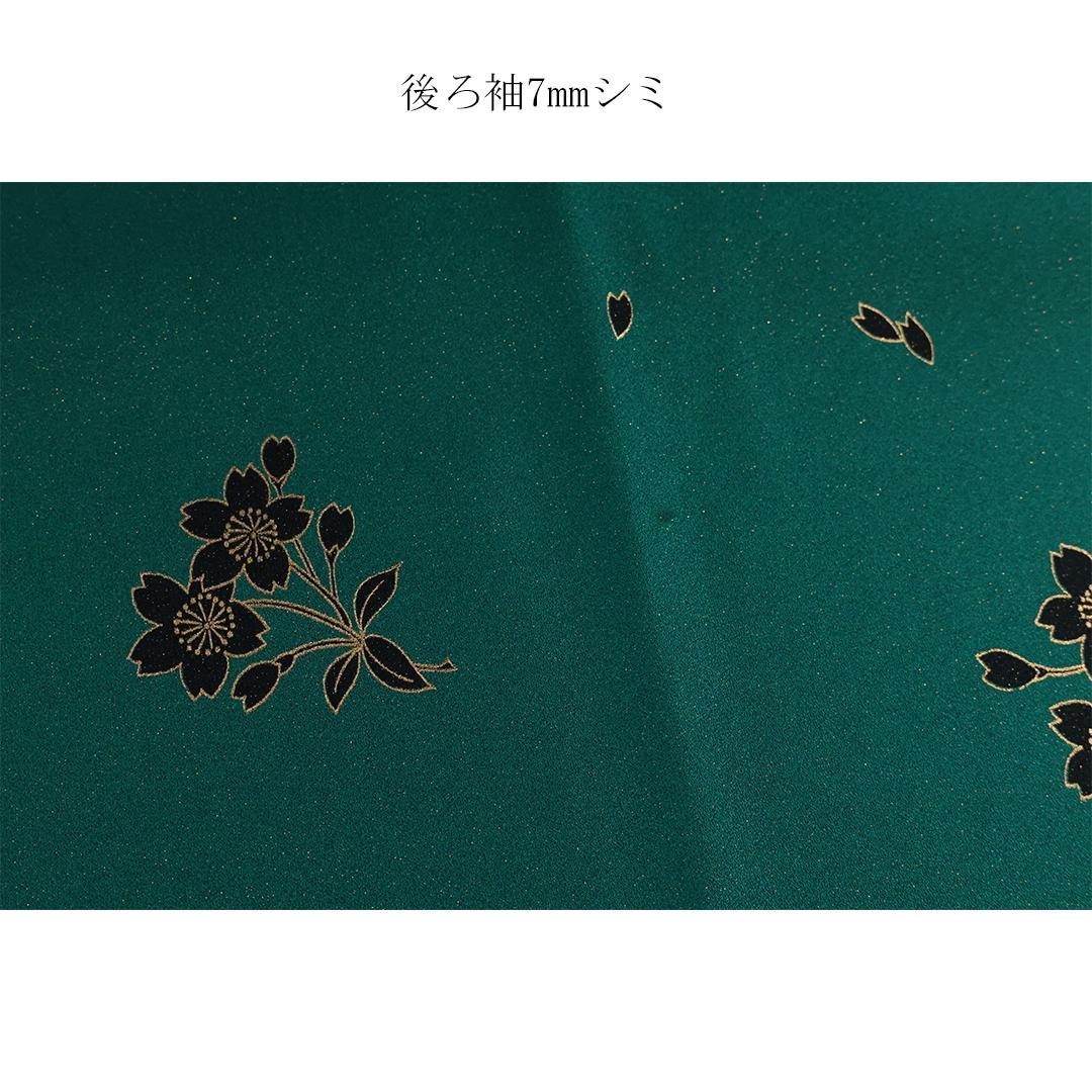 2026成人式まだ間に合います◆ 振袖6点セット ◆フルセットfN36