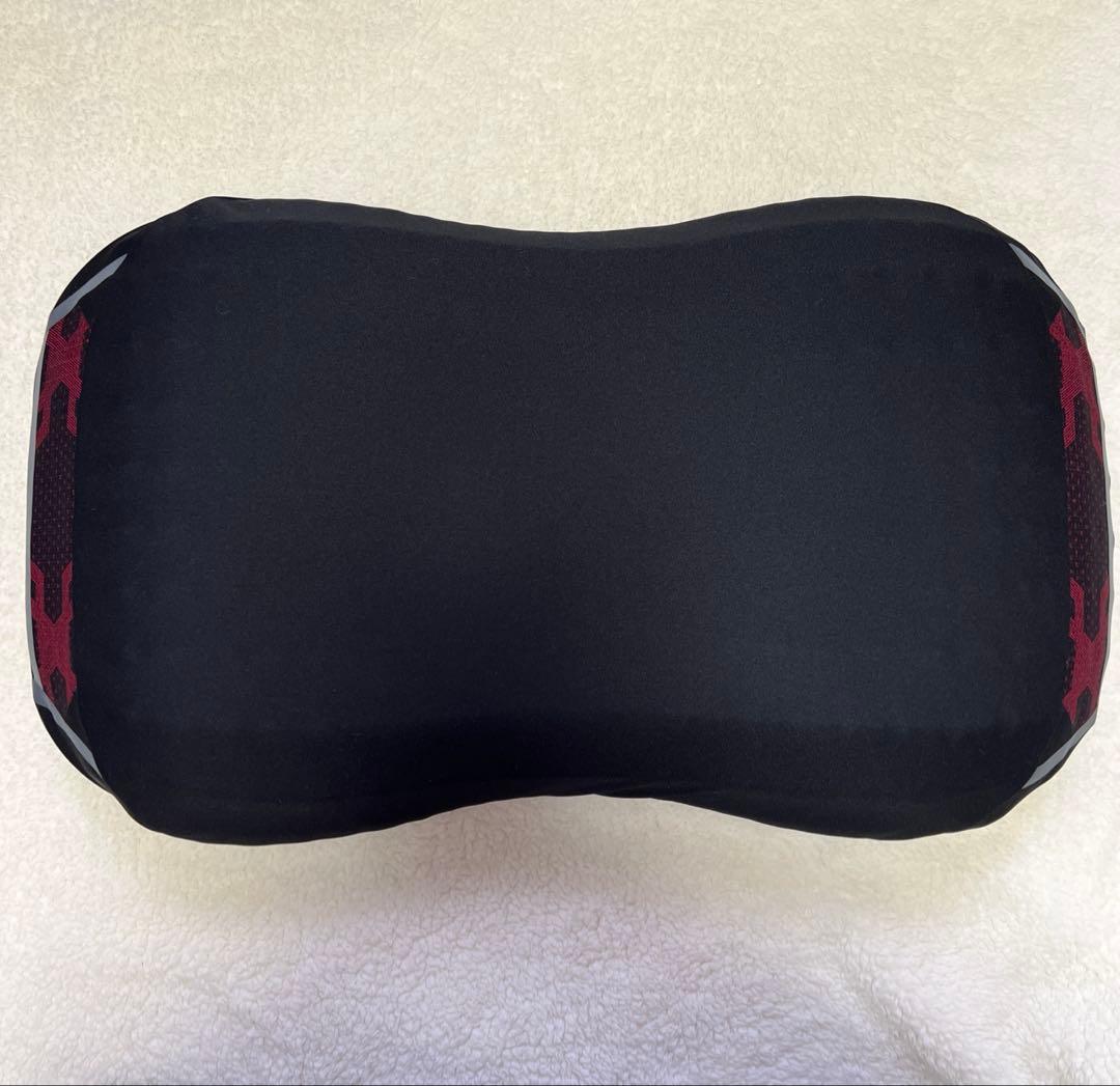 西川 エアー4DX ピロー Low 専用カバー付き