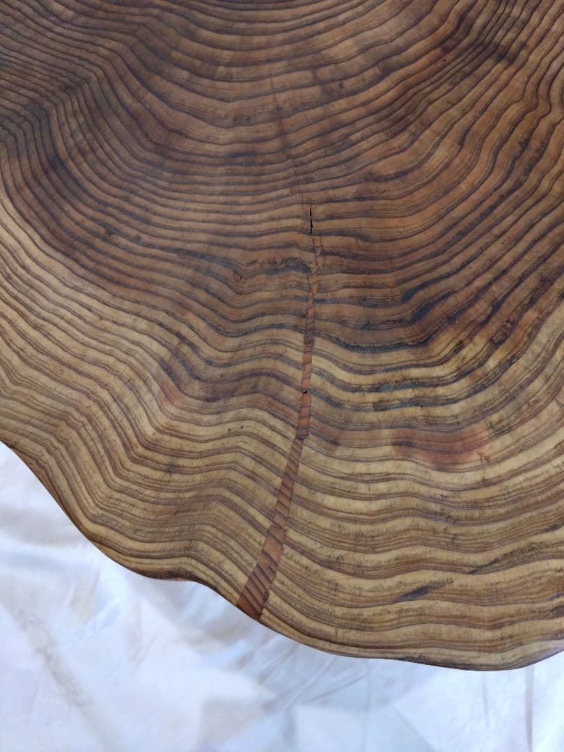 杉の輪切のローテーブル㉙　樹齢約100年の杉の自然木の年輪❕３本脚は太い檜を使用