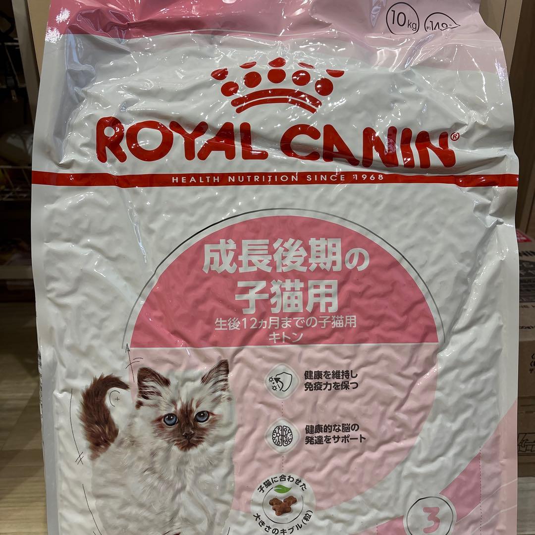 ロイヤルカナン  CANIN 子猫用成長後期ドライフード 10kg