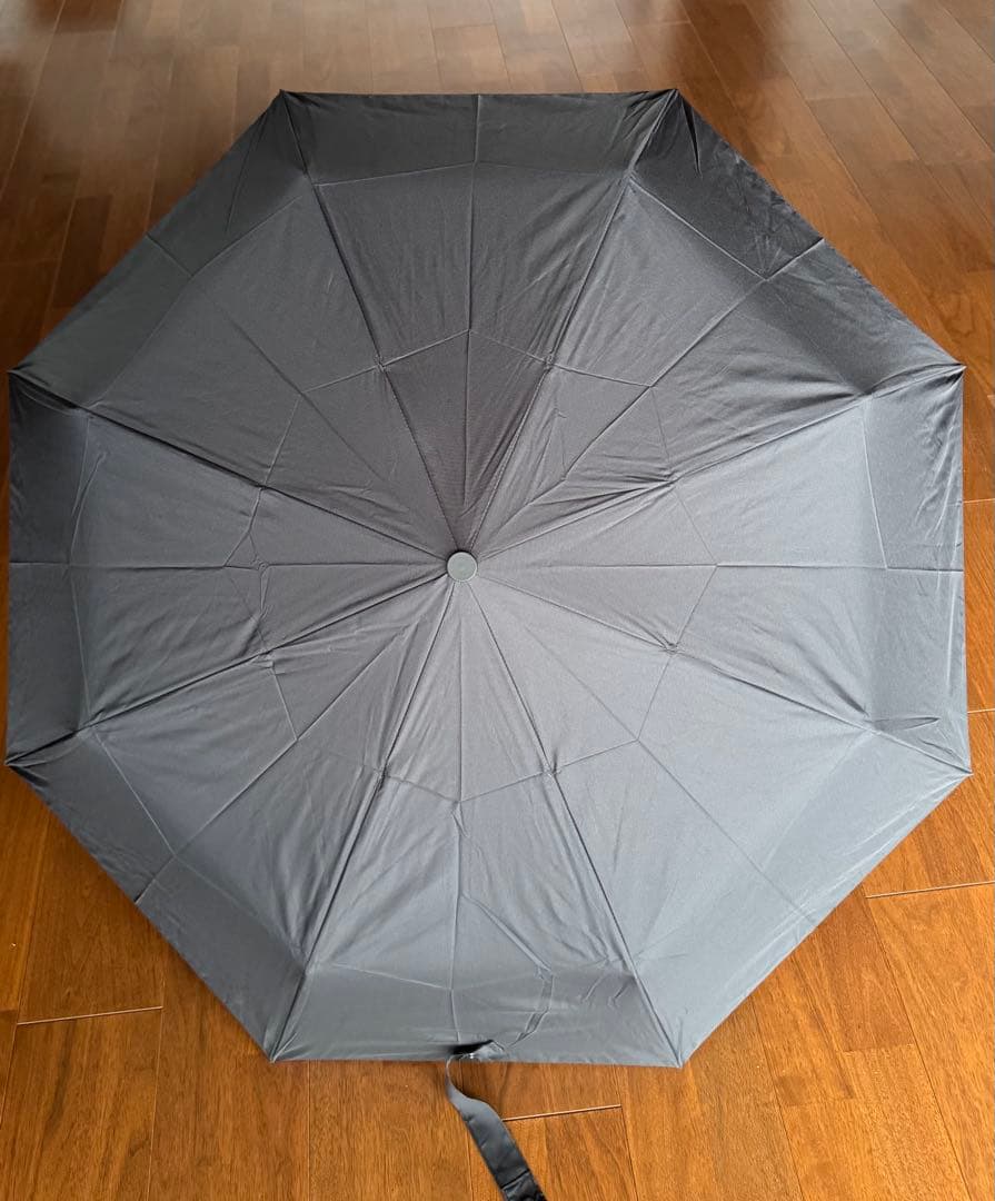 リシャールミル　傘