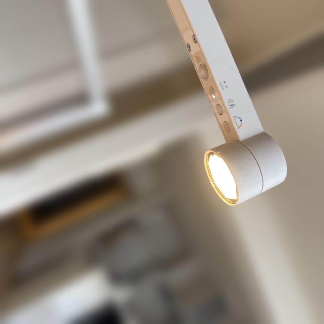 Dyson Solarcycle Morph フロアライト ホワイト／シルバー