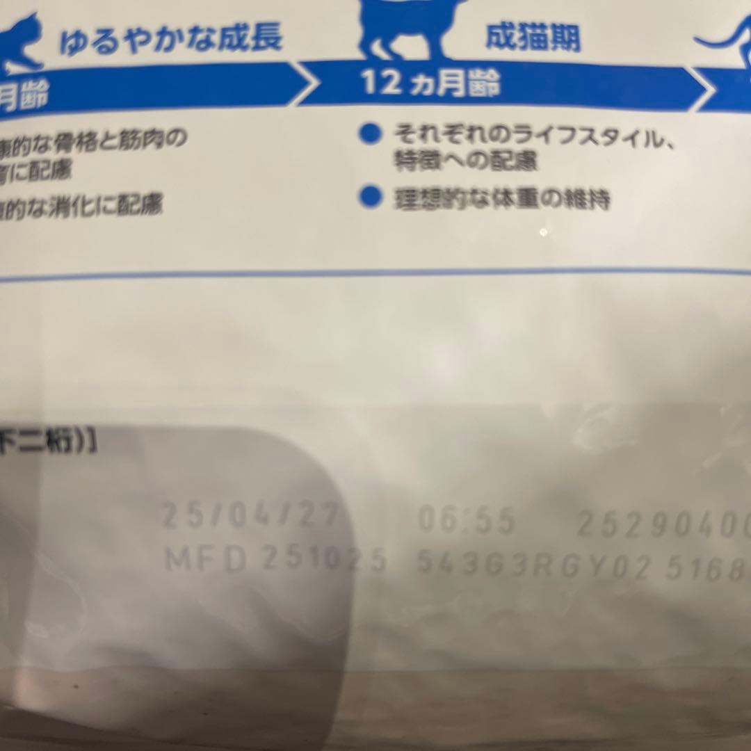  CANIN 室内猫用 10kg 2個セット　ロイヤルカナンインドア