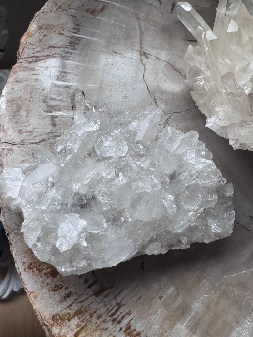 ちり様ご確認用ページ