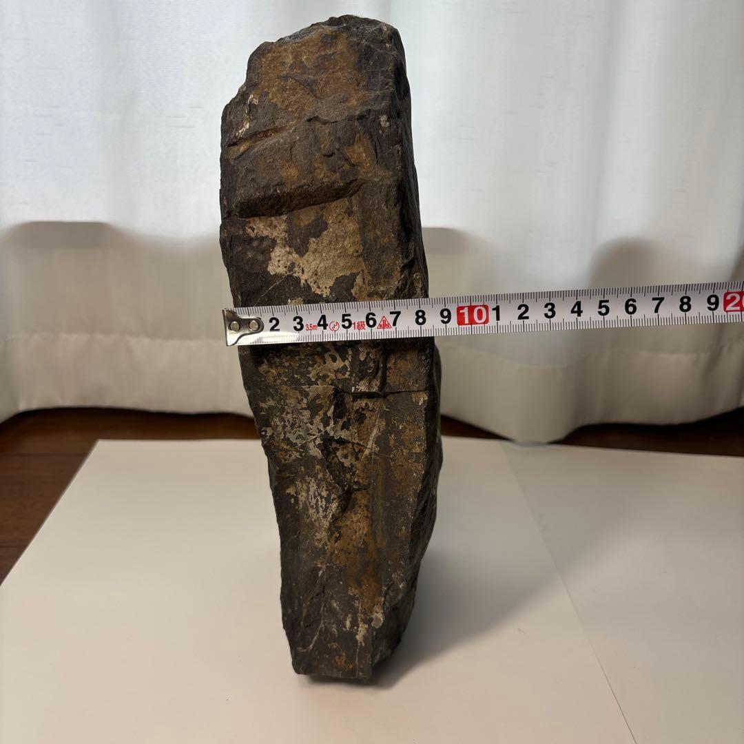 梅花石　高さ33センチ　鑑賞石　門司