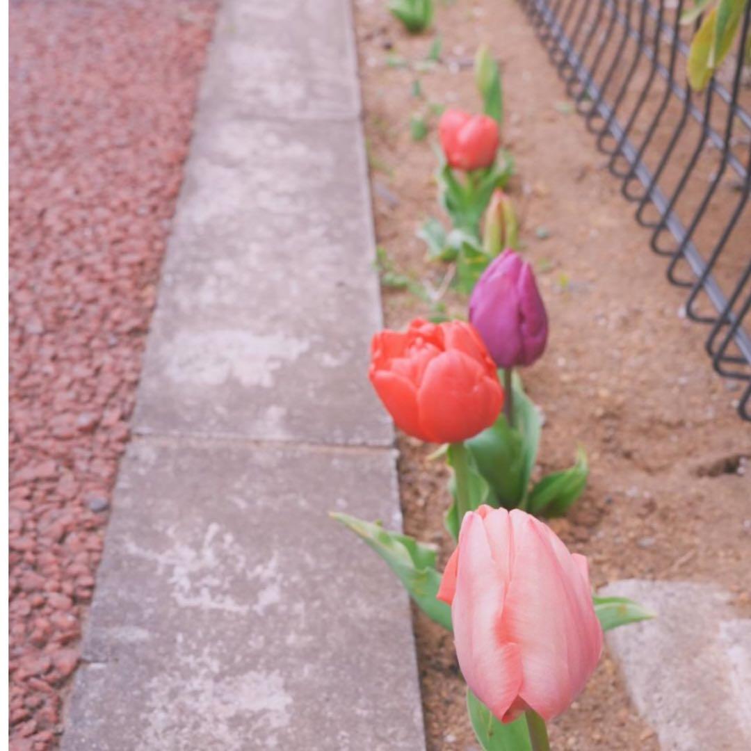 ココ⚫︎PRADA ミニ財布 サフィアーノレザー L字ファスナー