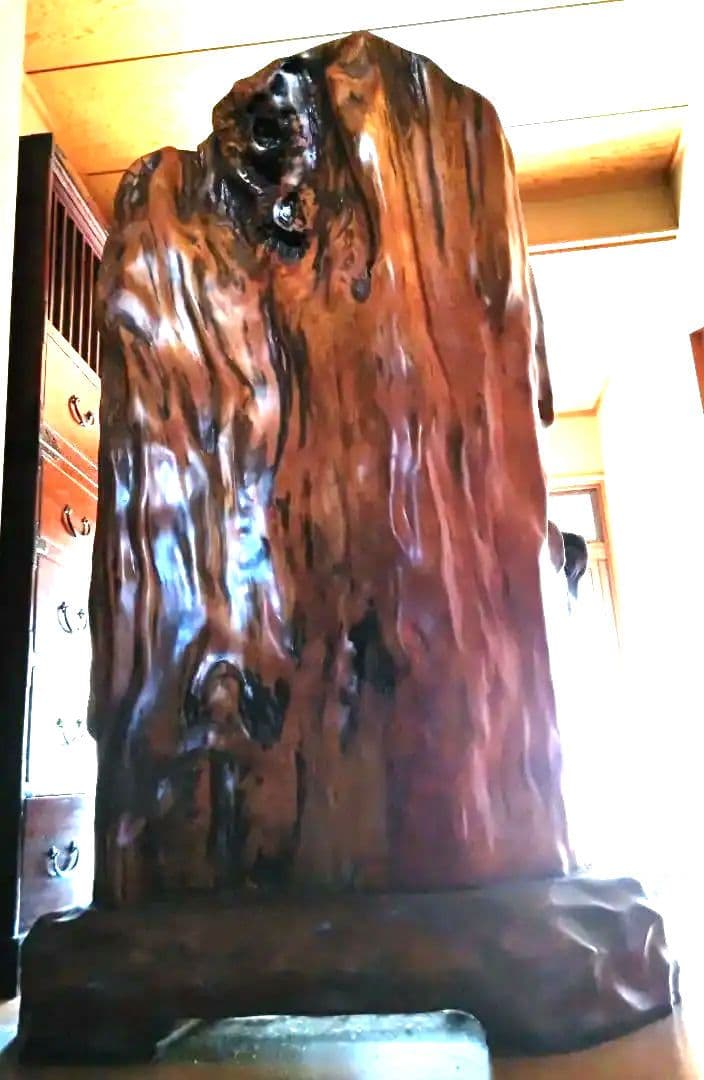 屋久杉　衝立　世界自然遺産　ついたて　高さ約150センチ