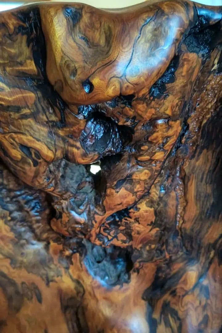 屋久杉　衝立　世界自然遺産　ついたて　高さ約150センチ